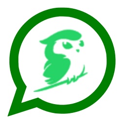 DOWA WhatsApp Apk